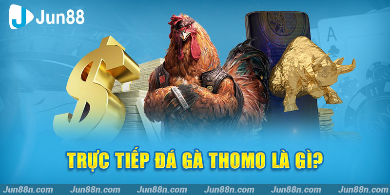 Trực tiếp đá gà thomo là gì?