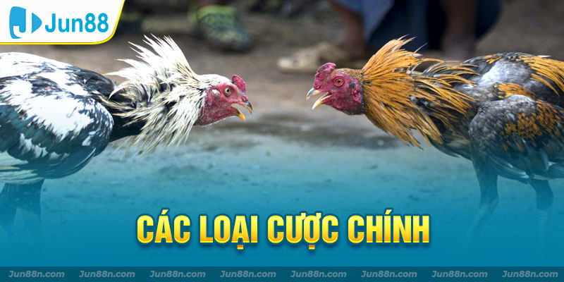 Các loại cược chính